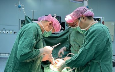 spécialités médicales