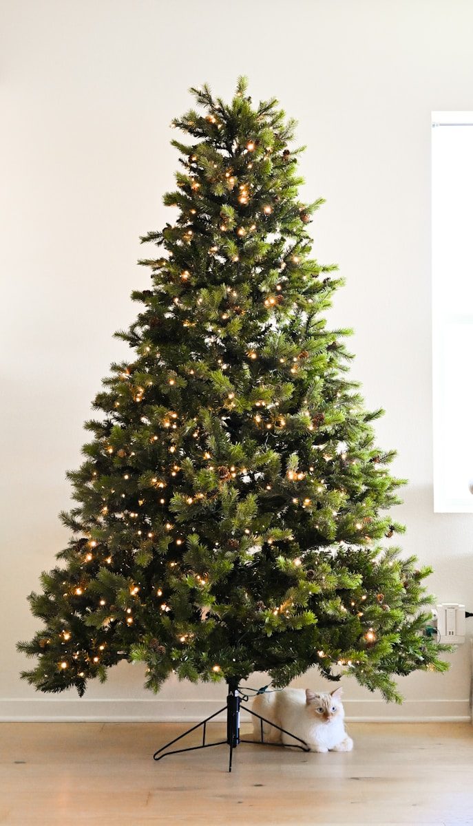 sapin de Noël