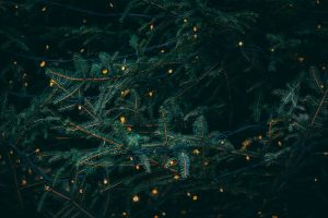 sapin de Noël