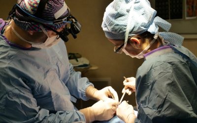 Chirurgie esthétique